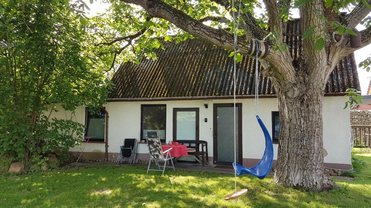 Ferienhaus Kunterbunt II هيتسآكر المظهر الخارجي الصورة